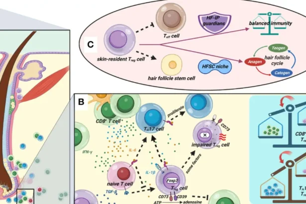 T-Cell Treatment