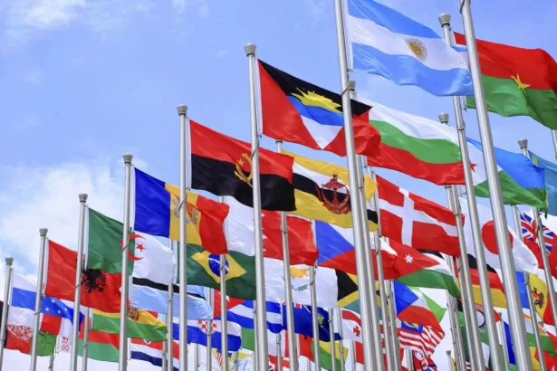 Guide to Flag Store Supplies