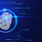 Electronic Identity Verification