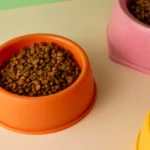 5 Reasons Why Custom Dog Bowls