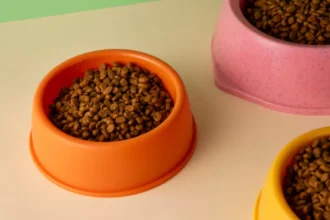 5 Reasons Why Custom Dog Bowls