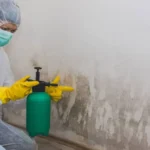 Mold Removal in Augusta