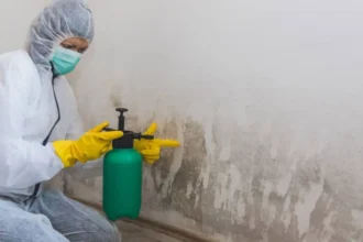 Mold Removal in Augusta